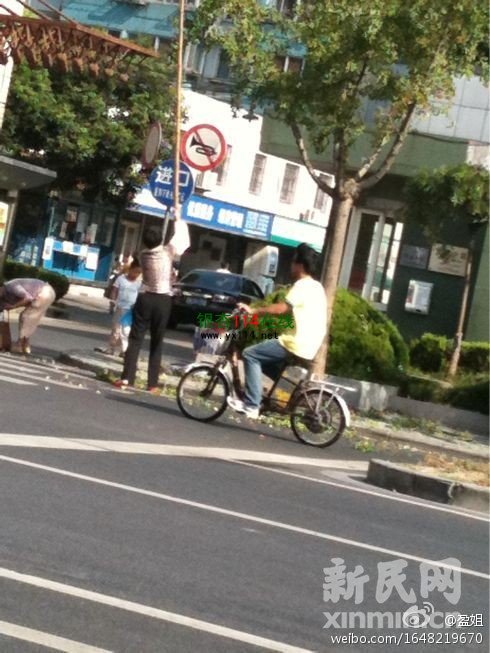 松江路边有人用木棍敲打银杏树，毁绿摘果实