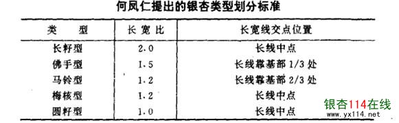 何凤仁提出的银杏品种类型划分标准